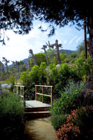 A tranquil pathway and bridge to Cliffside Malibu Drug Treatment Center