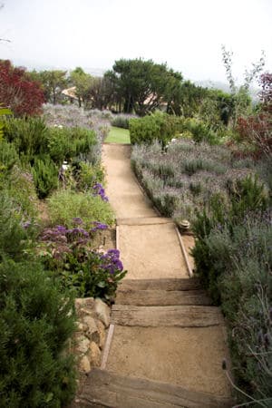 One of the many pathways that surround Cliffside Malibu’s drug rehab facility.
