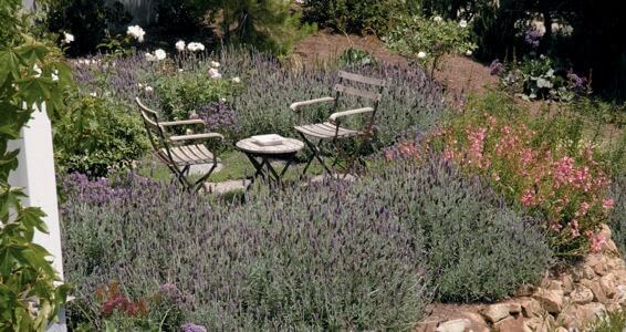 Cliffside Malibu Substance Abuse Treatment
